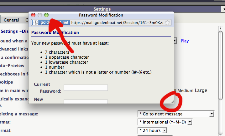expand-password-2.png
